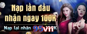 95vn