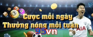 95vn